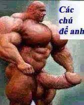 Hình Ảnh Troll FaceBook Hài Bá Đạo Trên Từng Hạt Gạo Hình Ảnh Troll FaceBook Hài Bá Đạo Trên Từng Hạt Gạo