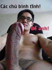 Hình Ảnh Troll FaceBook Hài Bá Đạo Trên Từng Hạt Gạo Hình Ảnh Troll FaceBook Hài Bá Đạo Trên Từng Hạt Gạo