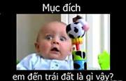 Hình Ảnh Troll FaceBook Hài Bá Đạo Trên Từng Hạt Gạo Hình Ảnh Troll FaceBook Hài Bá Đạo Trên Từng Hạt Gạo
