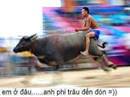 Hình Ảnh Troll FaceBook Hài Bá Đạo Trên Từng Hạt Gạo Hình Ảnh Troll FaceBook Hài Bá Đạo Trên Từng Hạt Gạo