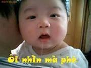 Hình Ảnh Troll FaceBook Hài Bá Đạo Trên Từng Hạt Gạo Hình Ảnh Troll FaceBook Hài Bá Đạo Trên Từng Hạt Gạo