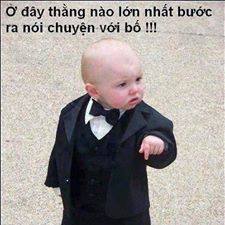 Hình Ảnh Troll FaceBook Hài Bá Đạo Trên Từng Hạt Gạo Hình Ảnh Troll FaceBook Hài Bá Đạo Trên Từng Hạt Gạo