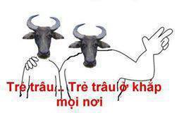 Hình Ảnh Troll FaceBook Hài Bá Đạo Trên Từng Hạt Gạo Hình Ảnh Troll FaceBook Hài Bá Đạo Trên Từng Hạt Gạo