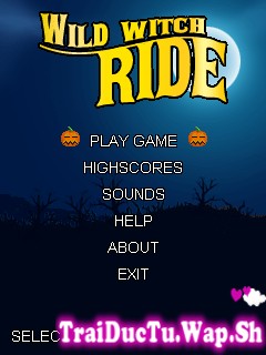 Game Wild witch ride free